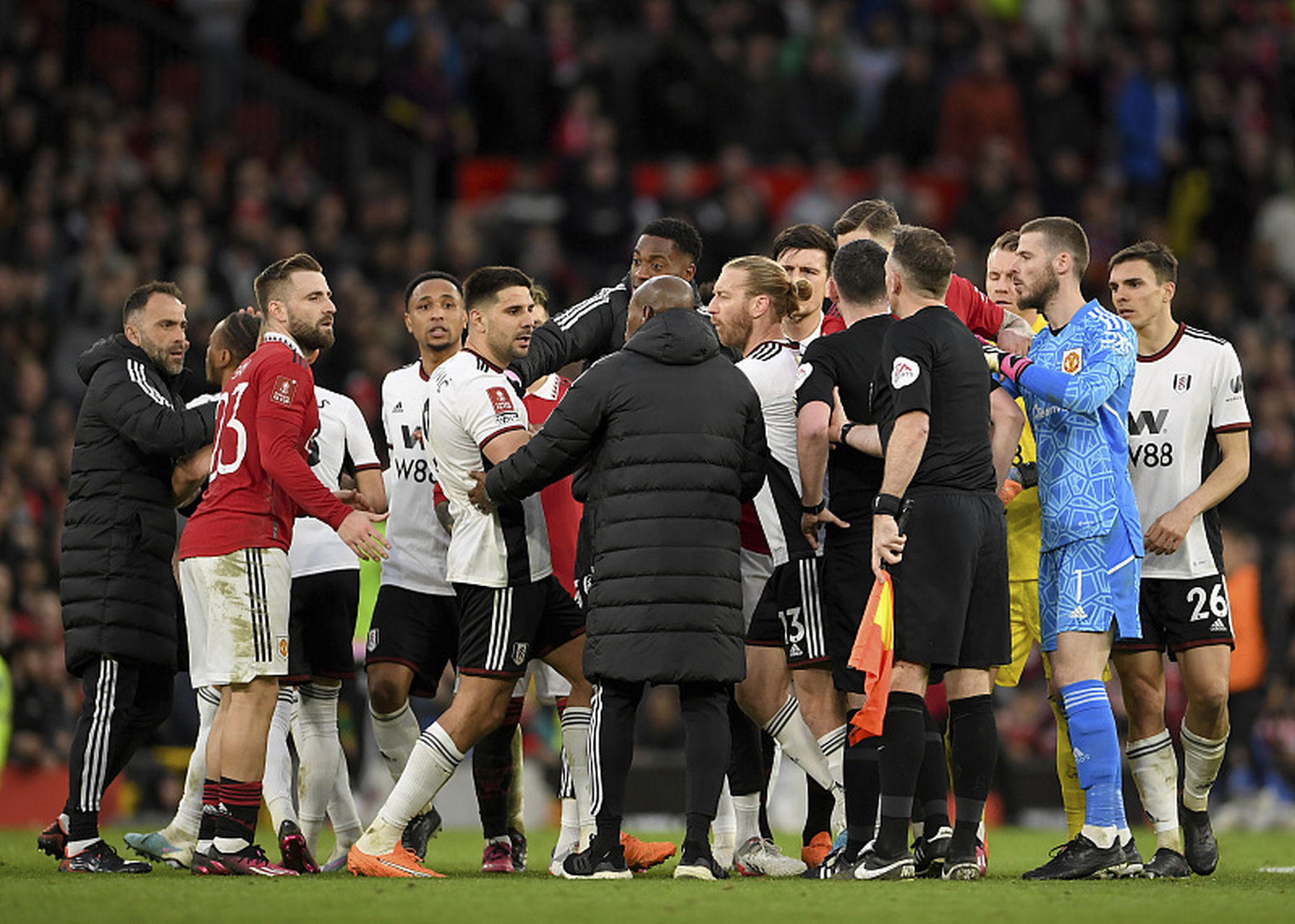  蒂姆获得过大满贯吗 