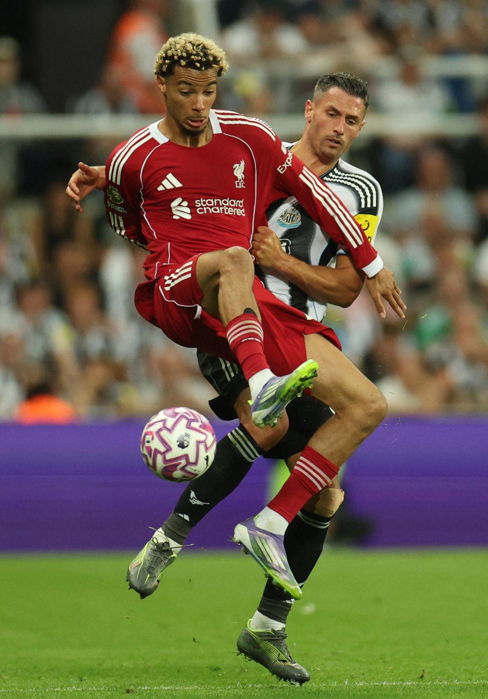 Ning关键节点赛况扑朔迷离，利物浦带队取胜！的简单介绍